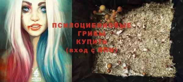 мяу мяу мука Алзамай