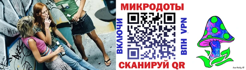 Псилоцибиновые грибы Psilocybe Лысково